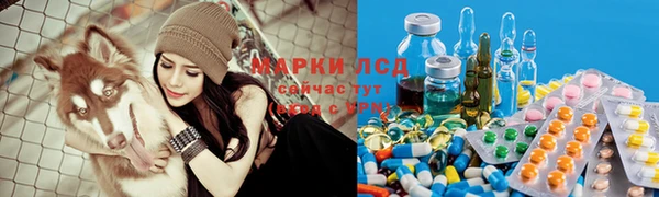 твердый Краснослободск