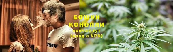 тгк Корсаков