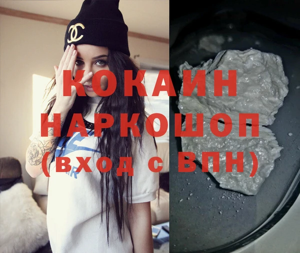 твердый Краснослободск