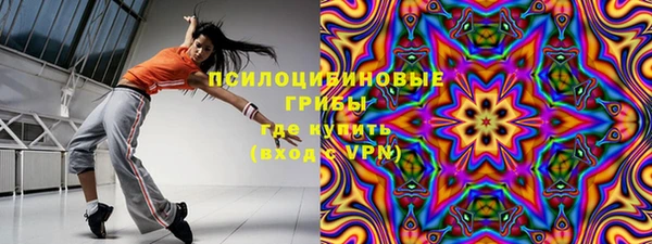 тгк Корсаков