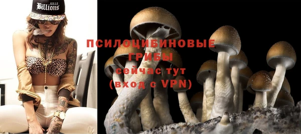 тгк Корсаков