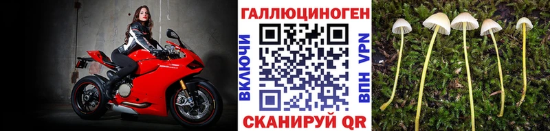 Галлюциногенные грибы MAGIC MUSHROOMS  сколько стоит  Остров 
