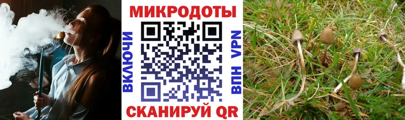 Галлюциногенные грибы ЛСД Остров